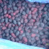 IQF mulberries B10