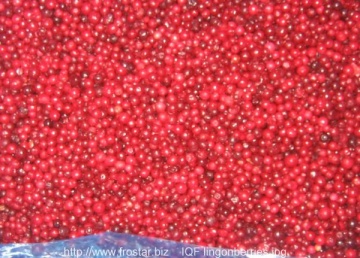 IQF lingonberries, wild B09