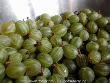 IQF gooseberries B08