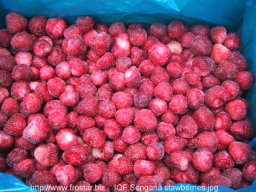 IQF strawberries sengana B03