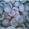 IQF white peach halves F03