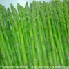 IQF green asparagus spears V38