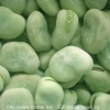 IQF broad beans V35