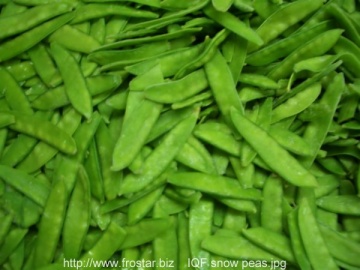 IQF pea pods V08