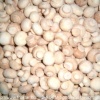 IQF white button mushroom M02