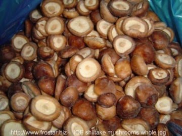 IQF shiitake mushroom whole M01