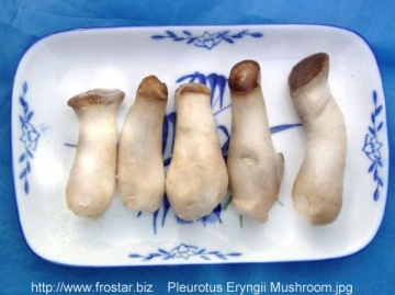 IQF pleurotus eryngii mushroom M11